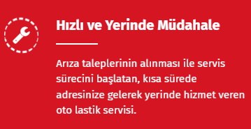 Yerinde Hızlı Müdahale